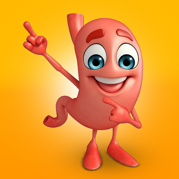 Digestion & Wellness